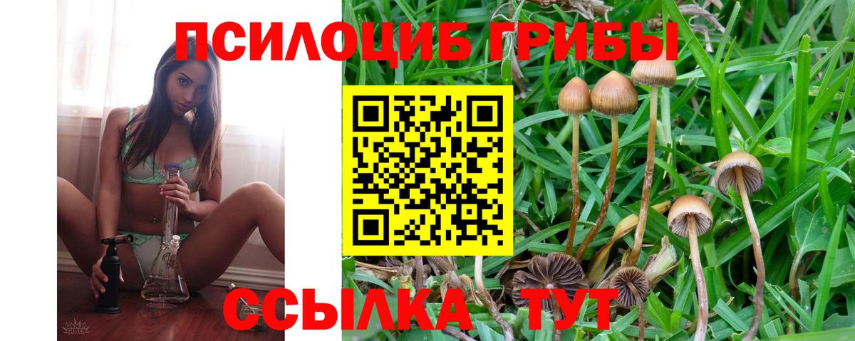 Псилоцибиновые грибы Magic Shrooms  Вход с VPN  Можга  Псилоцибиновые грибы прущие грибы 